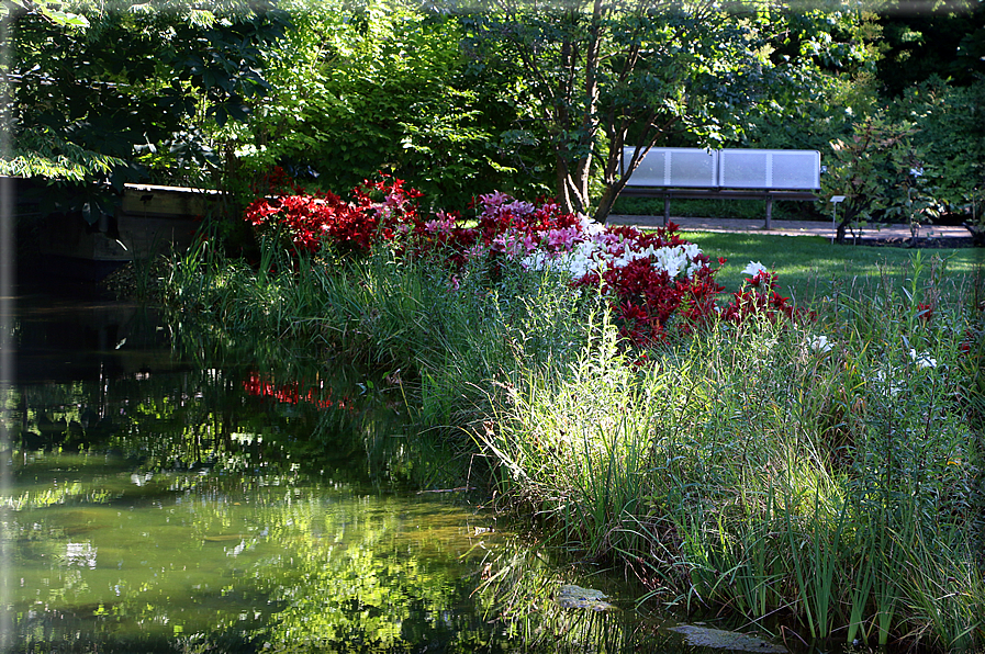 foto Giardini Trauttmansdorff - Boschi del Mondo